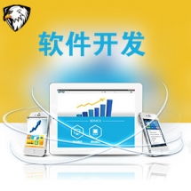 一品威客網軟件外包服務報價與收費解析 專業(yè)、透明、高性價比的開發(fā)選擇