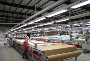 優質工廠成稀缺資源 從服裝加工到軟件外包，解析“訂單發不出去”背后的結構性變革